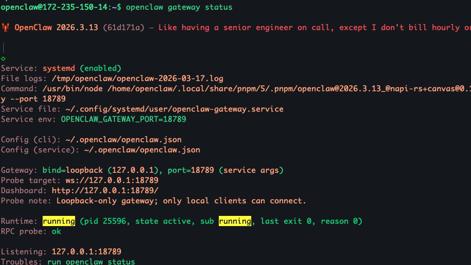 openclaw-gws.jpg